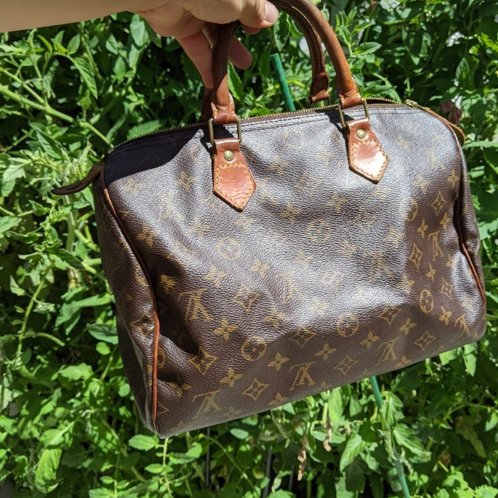 Louis Vuitton LV Hand Bag Speedy 30